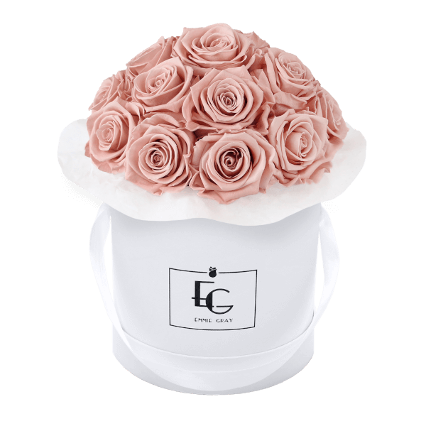 Splendid Infinity Rosebox | Antique Pink | S