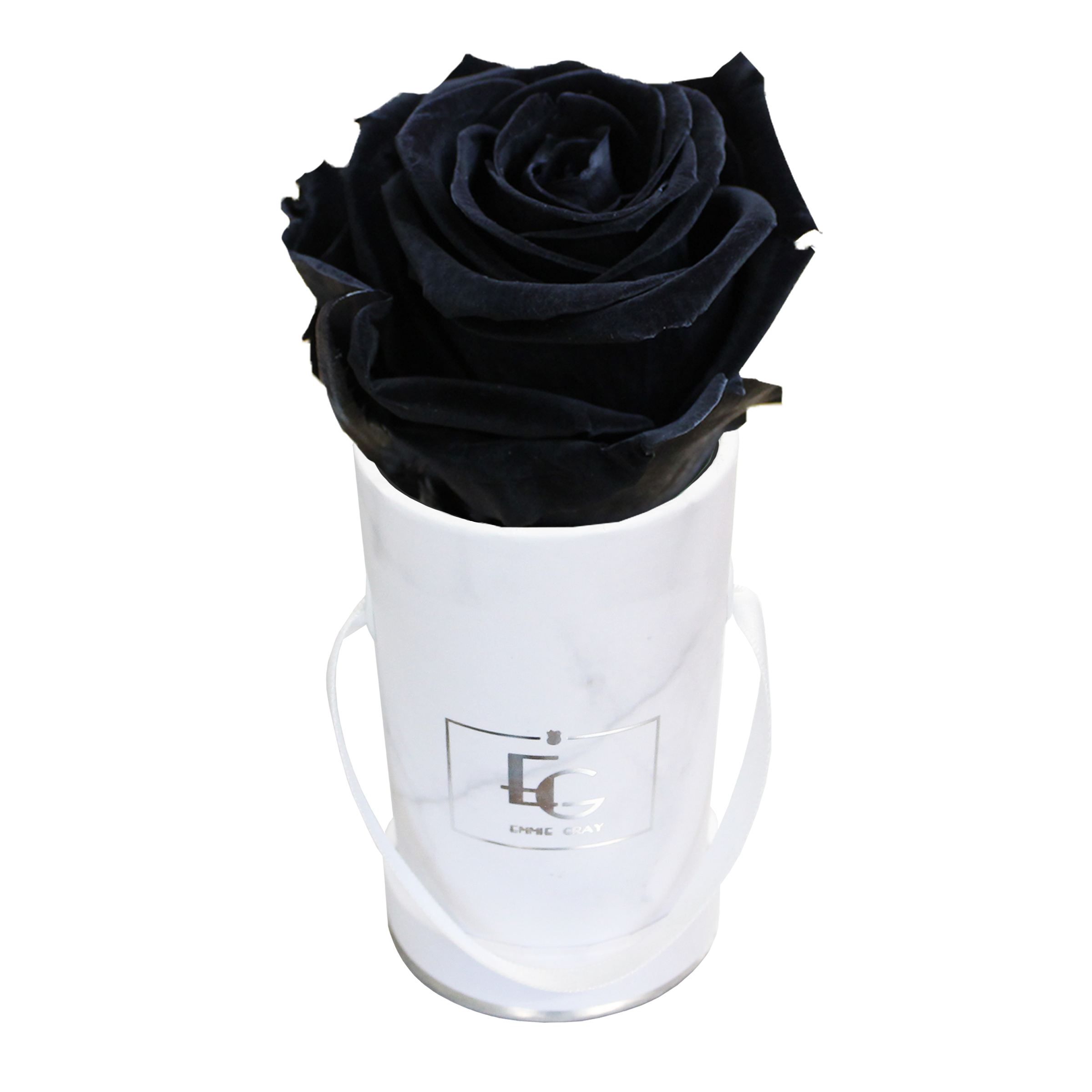 CLASSIC INFINITY ROSEBOX | BLACK BEAUTY | XXS
