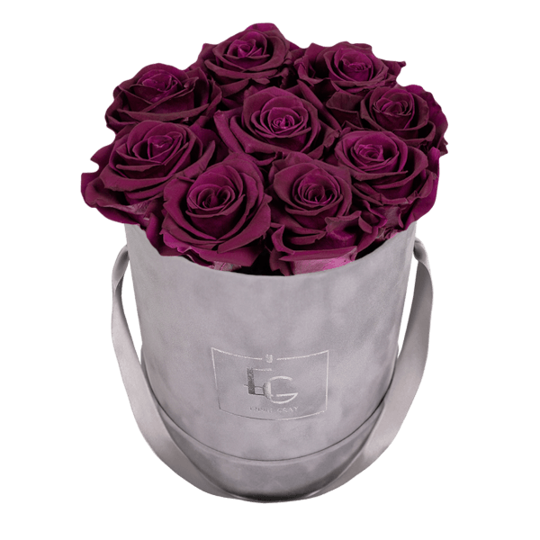 CLASSIC INFINITY ROSEBOX | VELVET PLUM | S