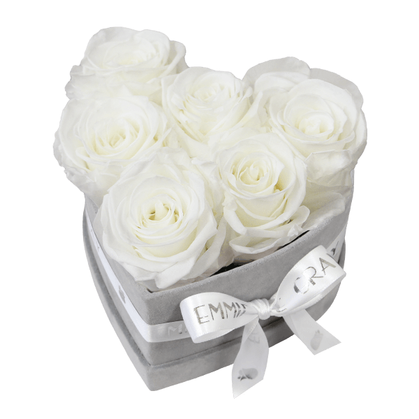 Classic Infinity Rosebox | Pure White | S