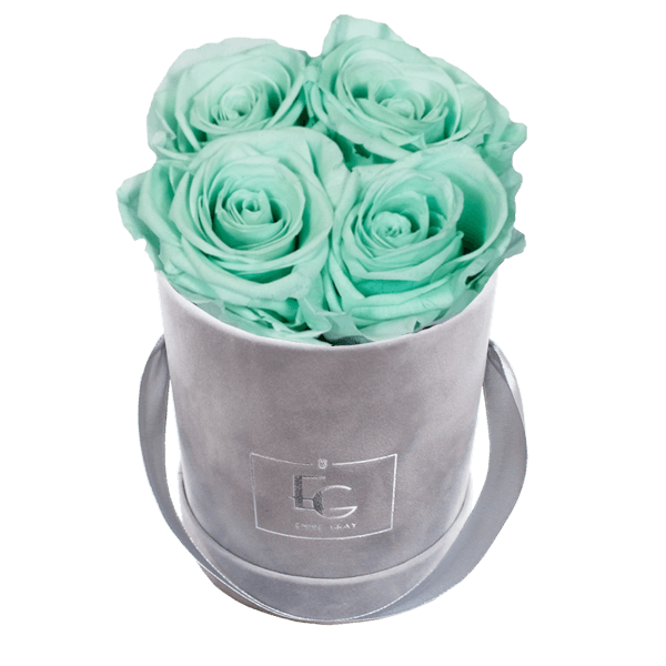 CLASSIC INFINITY ROSEBOX | MINTY GREEN | XS