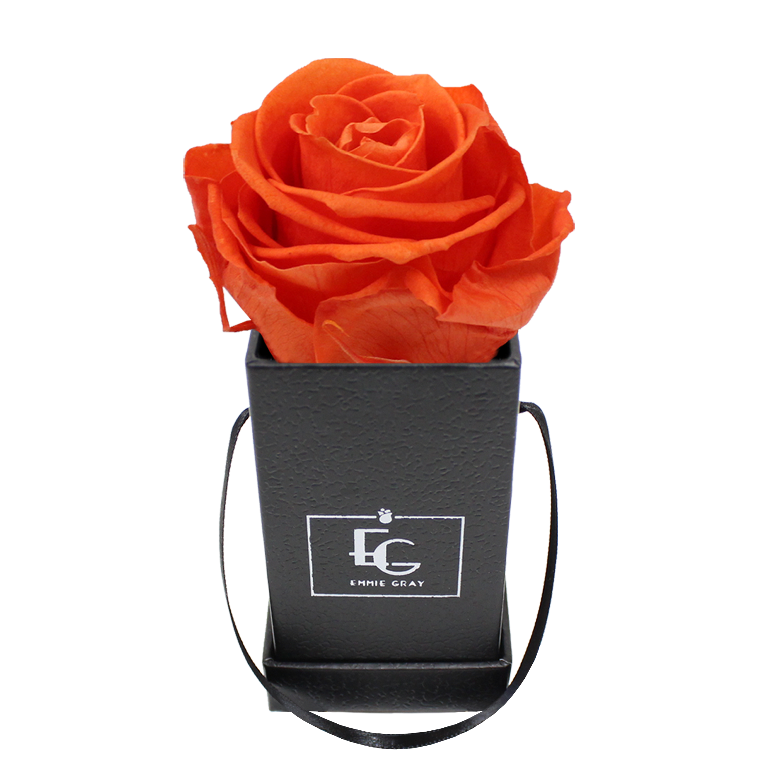 CLASSIC INFINITY ROSEBOX | ORANGE FLAME | XXS