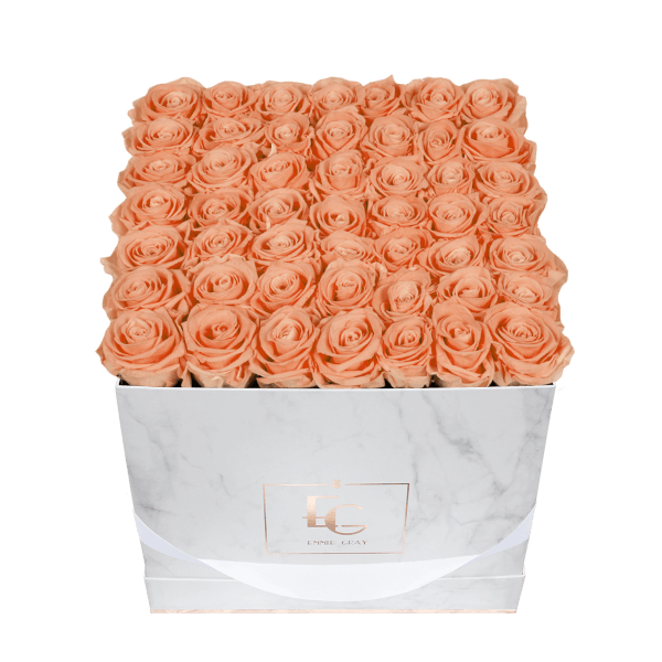 Classic Infinity Rosebox | Perfect Peach | L