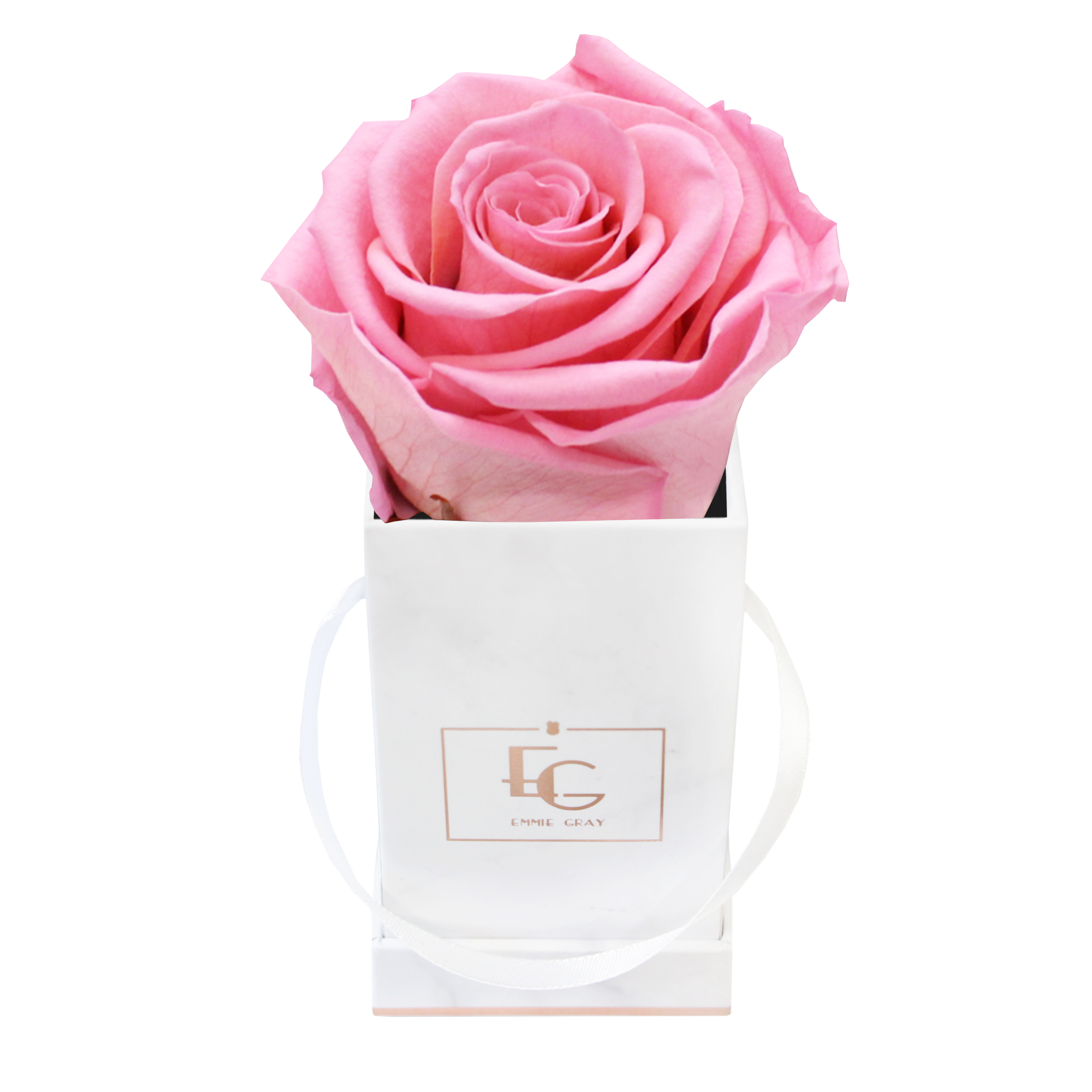 Classic Infinity Rosebox | Bridal Pink | XXS