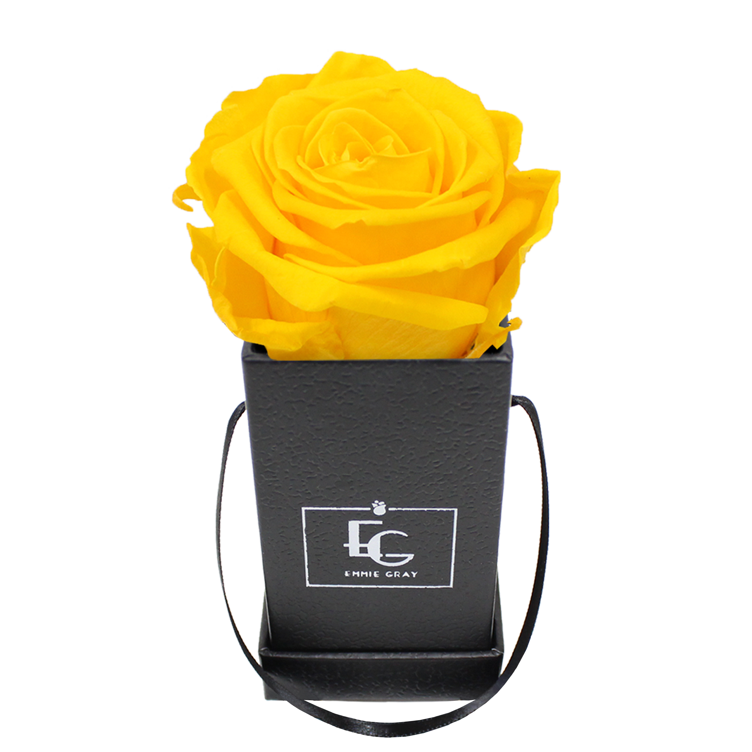 CLASSIC INFINITY ROSEBOX | SUNNY YELLOW | XXS