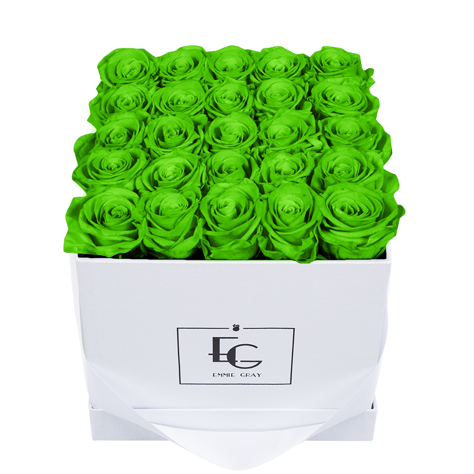 CLASSIC INFINITY ROSEBOX | GREEN GLOW | M