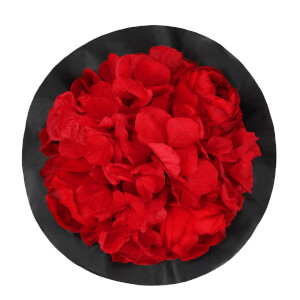 Vorschau: Splendid Peony Infinity Rosebox | Vibrant Red | XS Vorschau: Splendid Peony Infinity Rosebox | Vibrant Red | XS