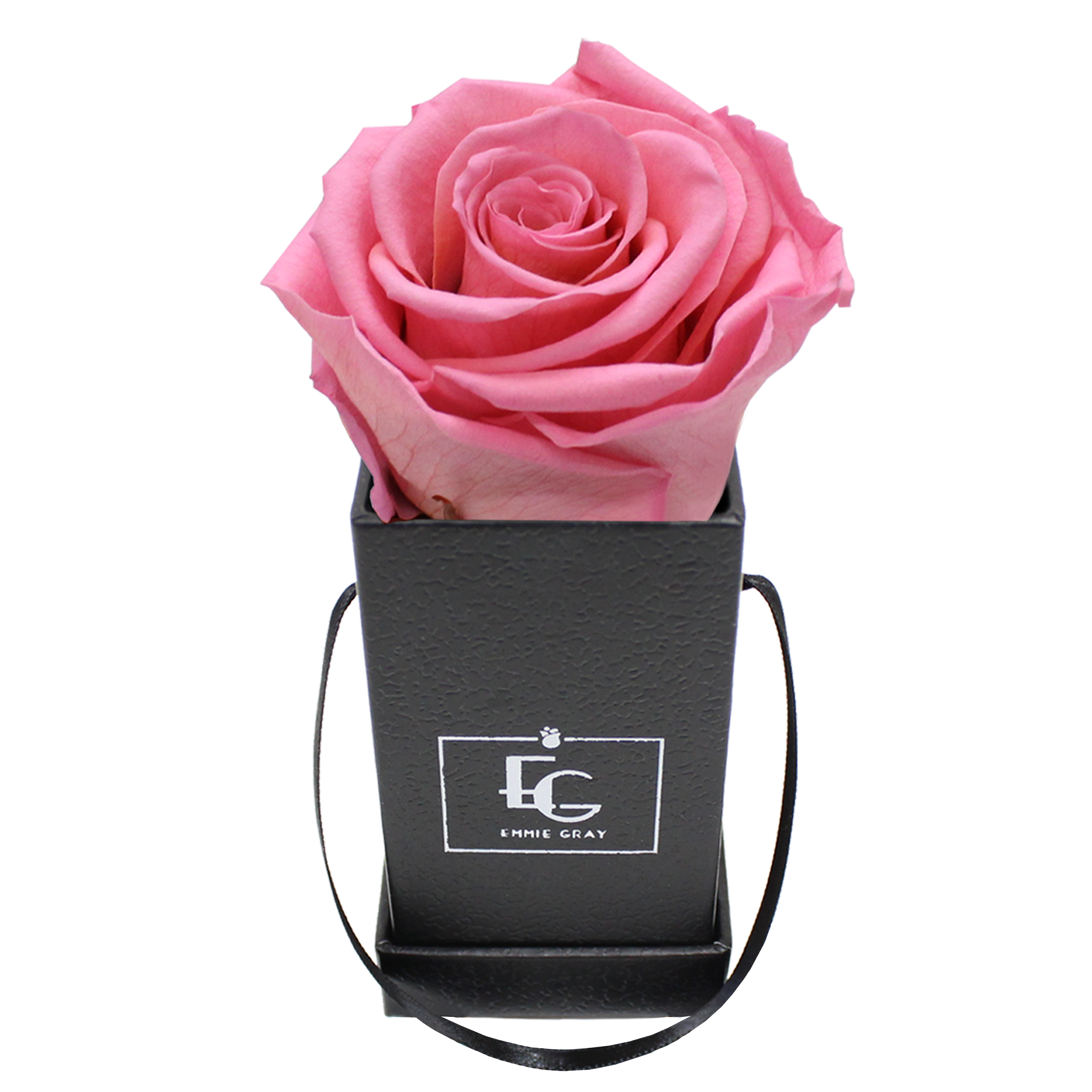 CLASSIC INFINITY ROSEBOX | BABY PINK | XXS