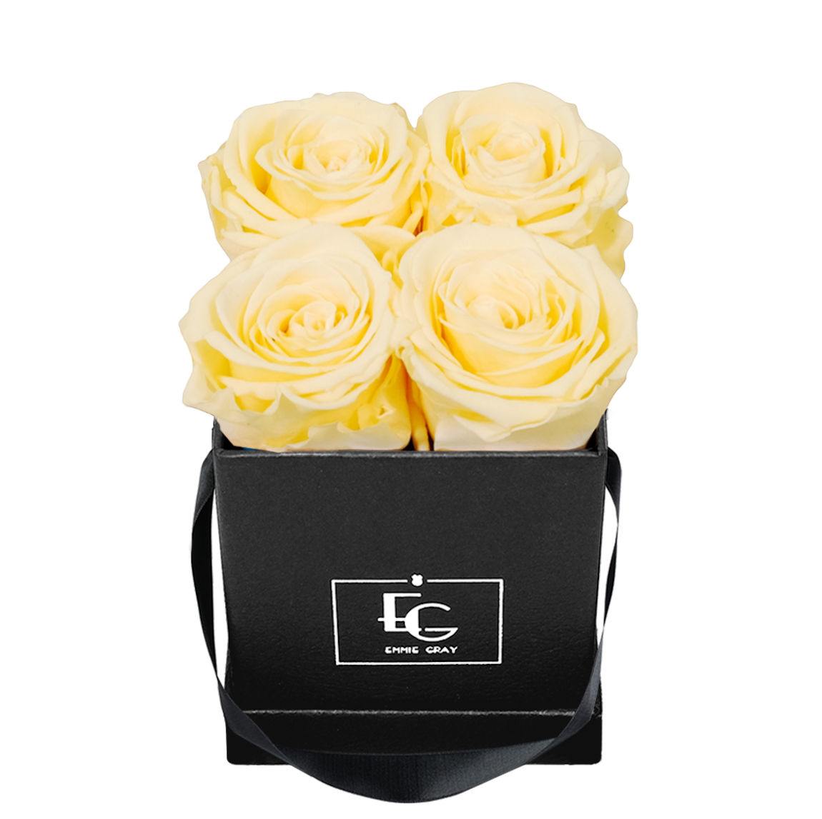 CLASSIC INFINITY ROSEBOX | CHAMPAGNE | XS